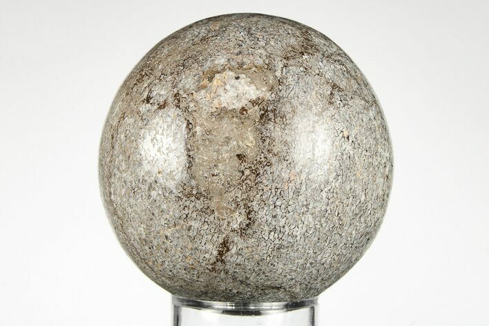 2.5" Polished Agatized Dinosaur (Gembone) Sphere - Morocco